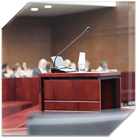 Expert Witnesses