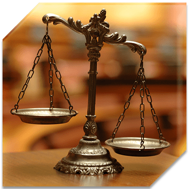 Litigation Services