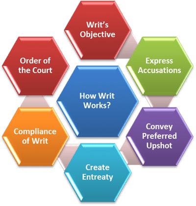 Writ Petition Process