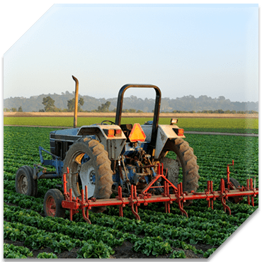 Agribusiness