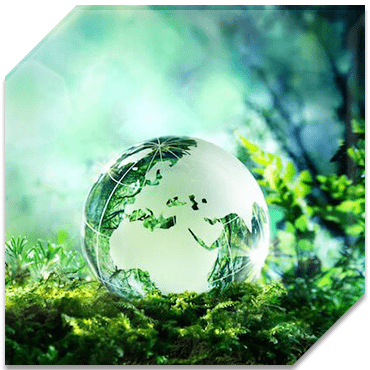 Environmental Law Services